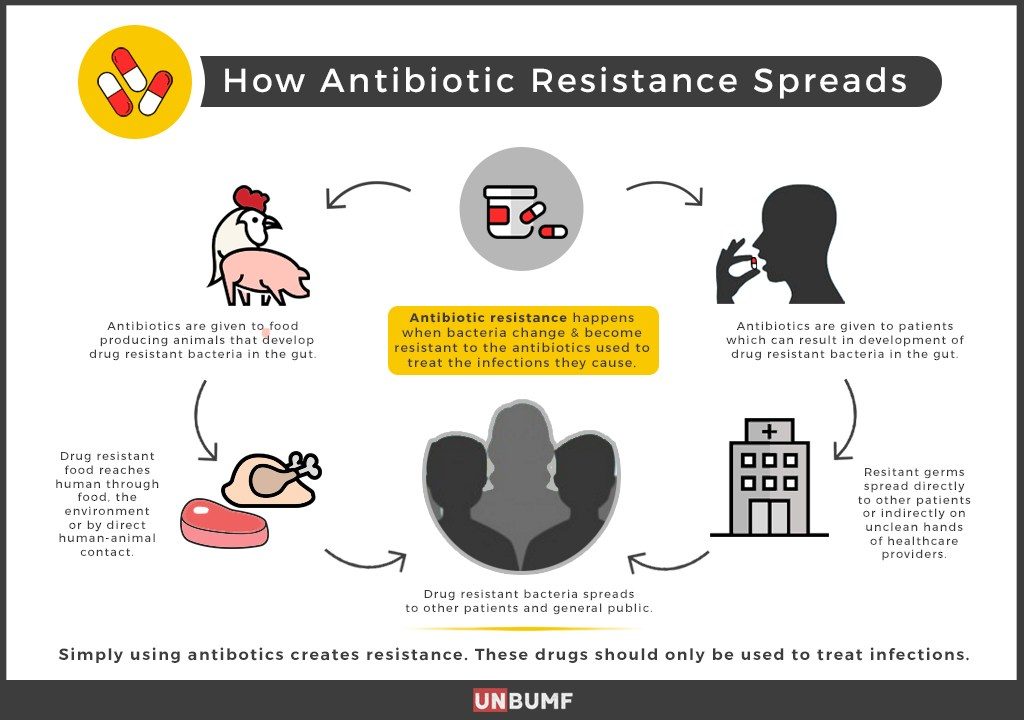 Reassessing Discarded Chemicals in Search of New Antibiotics