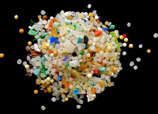 Microplastics in Oceans Leave Whale & Shark Species Vulnerable to Toxic Chemicals: Study Microplastics in Oceans Leave Whale & Shark Vulnerable To Toxins