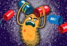 The Saviour Returns : Long-Abandoned Antibiotic Makes Come-back to Battle Superbugs Long-Abandoned Antibiotic Makes Come-back to Battle Superbugs