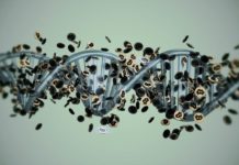 Nebula Genomics: Where Blockchain Meets Genome Sequencing