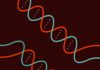 CRISPR to the rescue! Editing System Used to Eliminate Latent HIV CRISPR to the rescue! Editing System Used to Eliminate Latent HIV