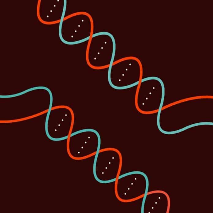 CRISPR to the rescue! Editing System Used to Eliminate Latent HIV