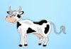 Gates foundation Ploughs In $40M into Livestock Research, to Create “Supercows” Gates foundation Ploughs $40M into Livestock Research for “Supercows”
