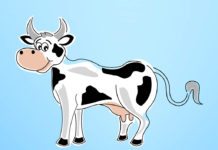 Gates foundation Ploughs In $40M into Livestock Research, to Create “Supercows” Gates foundation Ploughs $40M into Livestock Research for “Supercows”