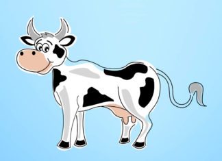 Gates foundation Ploughs In $40M into Livestock Research, to Create “Supercows” Gates foundation Ploughs $40M into Livestock Research for “Supercows”