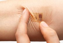 Stretchable Skin-like Electronics Demonstrates Flexible Circuitry that Senses a Bug’s Footsteps