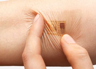 Stretchable Skin-like Electronics Demonstrates Flexible Circuitry that Senses a Bug’s Footsteps