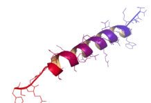 Mirror-Image Molecules Clear the Deck for More Durable Drugs