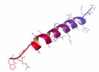 Mirror-Image Molecules Clear the Deck for More Durable Drugs