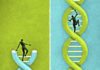 Chinese Outpace the US in Race to Apply CRISPR to Human Disorders