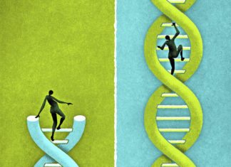 Chinese Outpace the US in Race to Apply CRISPR to Human Disorders