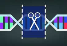 Cousin SHERLOCK Could Edge-Out CRISPR to Become the Next Rage in Biology