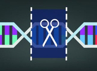 Cousin SHERLOCK Could Edge-Out CRISPR to Become the Next Rage in Biology