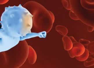 This Cancer-Purging “Nano-Factory” Is Our Inside Man in Fight against Cancer