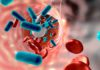 Gut Microbes Guard Mice Against Sepsis – Latest Research Gut Microbes Guard Mice Against Sepsis - Latest Research