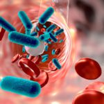 Gut Microbes Guard Mice Against Sepsis – Latest Research Gut Microbes Guard Mice Against Sepsis - Latest Research
