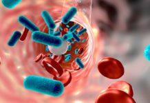 Gut Microbes Guard Mice Against Sepsis – Latest Research Gut Microbes Guard Mice Against Sepsis - Latest Research