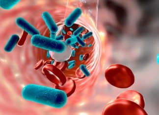 Gut Microbes Guard Mice Against Sepsis – Latest Research Gut Microbes Guard Mice Against Sepsis - Latest Research