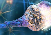 Artificial Superconducting Synapses Could Enable More Efficient- And More Human AI Systems Artificial Superconducting Synapses Enables More Efficient & Human AI