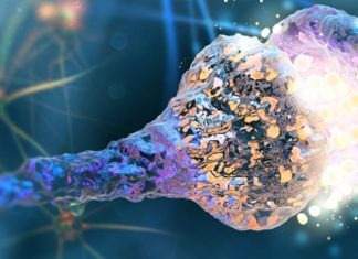 Artificial Superconducting Synapses Could Enable More Efficient- And More Human AI Systems Artificial Superconducting Synapses Enables More Efficient & Human AI