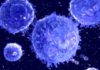 PhD Biosciences Post With Rs. 90,000 Salary