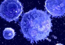 Cell Cycle Regulation to Enable Cardiac Regeneration PhD Biosciences Post With Rs. 90,000 Salary