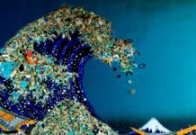 Microplastics Moving Up the Marine Food Chain Risking Ocean’s Top Predators
