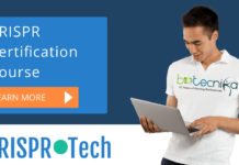 Check your Mastery Over CRISPR Tech with this Free Test