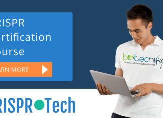 Check your Mastery Over CRISPR Tech with this Free Test