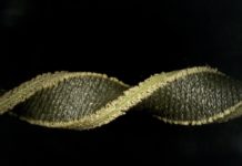 Stretchable Sweat pH Sensing System a Promising Alternative to Frequent Blood Tests