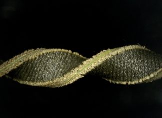 Stretchable Sweat pH Sensing System a Promising Alternative to Frequent Blood Tests