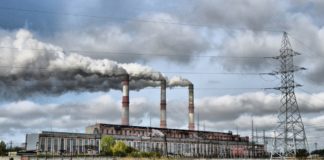 Environmental Exposures Have Greater Impact on Gene Expression
