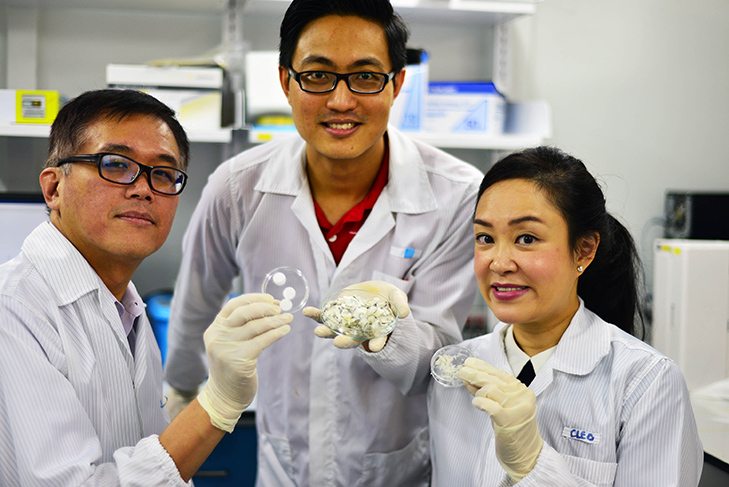 Fish Scale-Facilitated Wound Healing : NTU Latest Study
