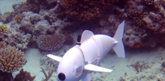 Look! Something’s Fishy: SoFi the Robot Fish Helps Us Understand Sea
