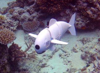 Look! Something’s Fishy: SoFi the Robot Fish to Help Us Better Understand Undersea Creatures Look! Something’s Fishy: SoFi the Robot Fish Helps Us Understand Sea