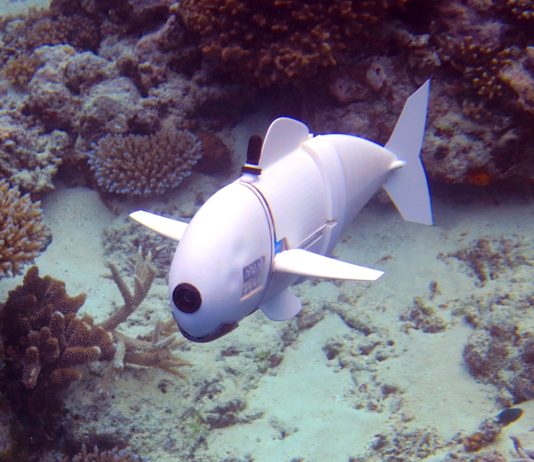 Look! Something’s Fishy: SoFi the Robot Fish Helps Us Understand Sea