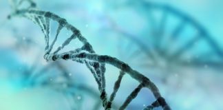 GE to Launch “factory-in-a-box” to Expedite Gene Therapy Business