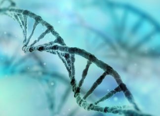 GE to Launch “factory-in-a-box” to Expedite Gene Therapy Business GE to Launch “factory-in-a-box” to Expedite Gene Therapy Business