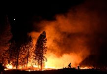 On the Contrary, South African Wildfires Have a Climate Cooling Effect On the Contrary, South African Wildfires Have a Climate Cooling Effect