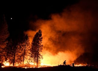 On the Contrary, South African Wildfires Have a Climate Cooling Effect On the Contrary, South African Wildfires Have a Climate Cooling Effect