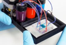 MIT Researchers Develop Body-on-Chip that Stores 10 Organs for Drug Tests