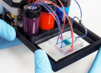 MIT Researchers Develop Body-on-Chip that Stores 10 Organs for Drug Tests