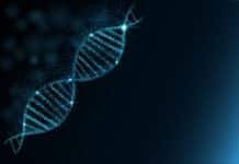 CSBMM, Yenepoya Research Centre Workshops on Genomics, Proteomics and Metabolomics CSBMM, Yenepoya Research Centre Workshops on Genomics, Proteomics and Metabolomics.