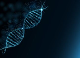 CSBMM, Yenepoya Research Centre Workshops on Genomics, Proteomics and Metabolomics.