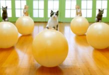 Staying Fit Could Help Steer Clear of Genetic Heart Diseases