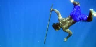 Indonesian “Sea Nomads” are Aided by Genes for Oxygen-Free diving