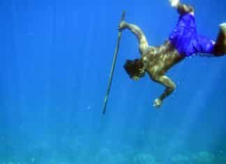 Indonesian “Sea Nomads” are Aided by Genes for Oxygen-Free Deep diving Indonesian “Sea Nomads” are Aided by Genes for Oxygen-Free diving