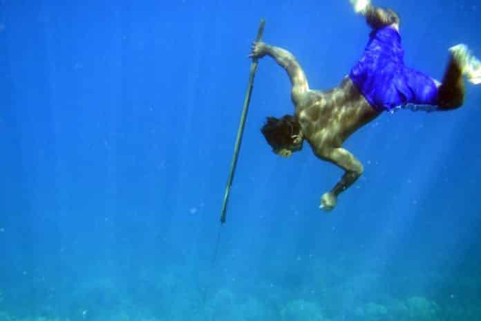 Indonesian “Sea Nomads” are Aided by Genes for Oxygen-Free diving