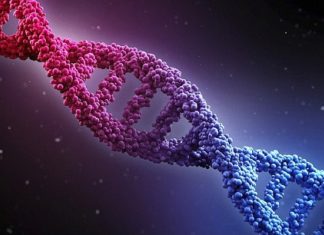Tuneable Genetic Oscillators Could be Key to Optimisation of Cellular Output Research Fellows (Multiple Positions) @ BITS Pilani, Hyderabad Campus