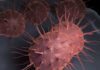 Scientists Uncover Gonorrhea Superbug’s Mechanism